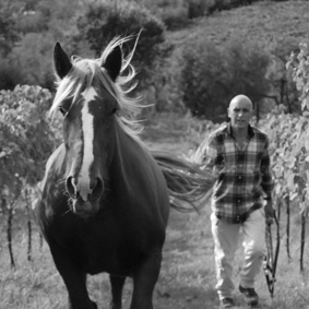 Bianco | Bellone, Capolemole - immagine 2